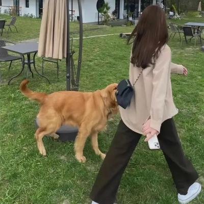 雾水总统