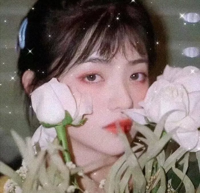 真相半白